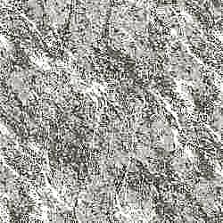 Adawall Tropicano Wallpaper 9906 Serie