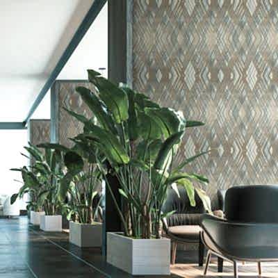 OCTAGON KOLEKSİYONU